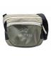 ARC'TERYX（アークテリクス）の古着「BEAMS別注 ARRO REBIRD WAISTPACK」｜グレー