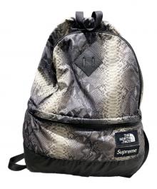 SUPREME×THE NORTH FACE（シュプリーム×ザ ノース フェイス）の古着「188S Snakeskin Lightweight Daypack」｜グレー