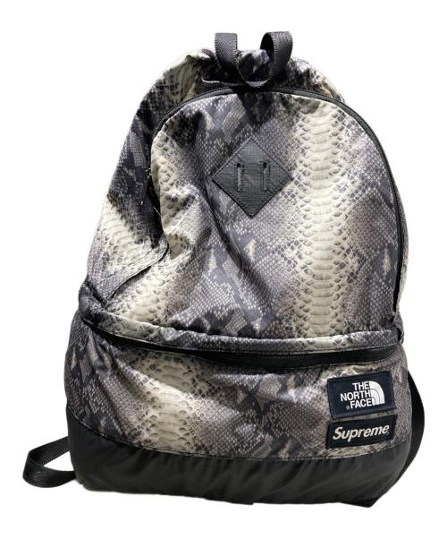 SUPREME（シュプリーム）Supreme (シュプリーム) THE NORTH FACE (ザ ノース フェイス) 188S Snakeskin Lightweight Daypack グレーの古着・服飾アイテム