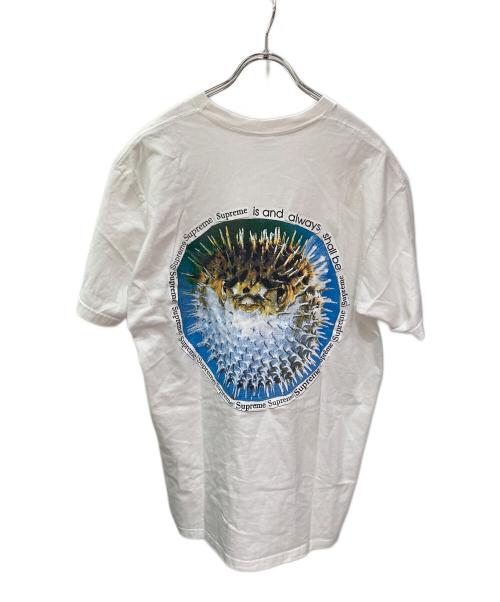 SUPREME（シュプリーム）SUPREME (シュプリーム) プリントTシャツ ホワイト サイズ:Lの古着・服飾アイテム
