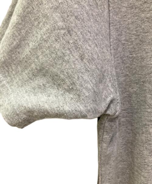 stussy（ステューシー）stussy (ステューシー) プリントTシャツ グレー サイズ:Sの古着・服飾アイテム