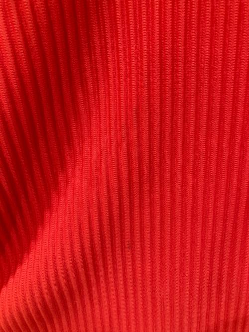 HOMME PLISSE ISSEY MIYAKE（オム プリッセ イッセイ ミヤケ）HOMME PLISSE ISSEY MIYAKE (オム プリッセ イッセイ ミヤケ) プリーツカットソー レッド サイズ:3の古着・服飾アイテム