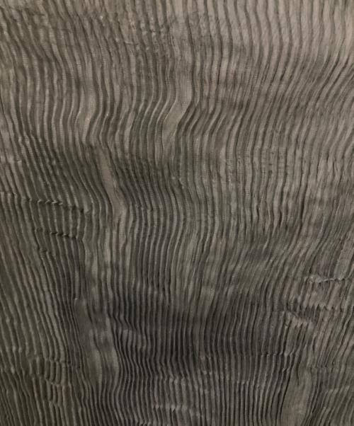 ISSEY MIYAKE（イッセイミヤケ）ISSEY MIYAKE (イッセイミヤケ) プリーツシシャーリングデザインカットソー ブラック サイズ:Freeの古着・服飾アイテム