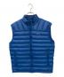 Patagonia（パタゴニア）の古着「ダウンセーターベスト」｜ブルー