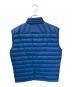 Patagonia (パタゴニア) ダウンセーターベスト ブルー サイズ:M：7000円