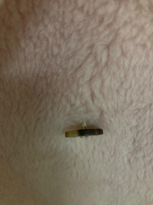 sonicca（ソニッカ）sonicca (ソニッカ) テディコート ピンク サイズ:FREEの古着・服飾アイテム