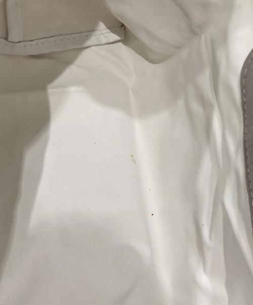 LONGCHAMP（ロンシャン）LONGCHAMP (ロンシャン) プリアージュトートバッグ グレーの古着・服飾アイテム