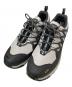 SALOMON（サロモン）の古着「XA PRO 3D V9 GTX」｜グレー