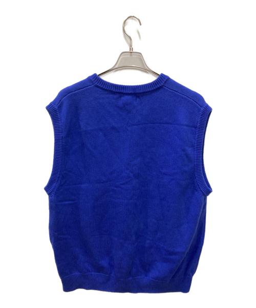 stussy（ステューシー）stussy (ステューシー) ニットベスト ブルー サイズ:Lの古着・服飾アイテム