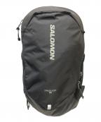 SALOMONサロモン）の古着「TRAILBLAZER 10 リュック」｜ブラック