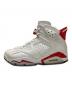 NIKE (ナイキ) Air Jordan 6 