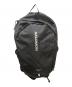 SALOMON（サロモン）の古着「TRAILBLAZER 20」｜ブラック