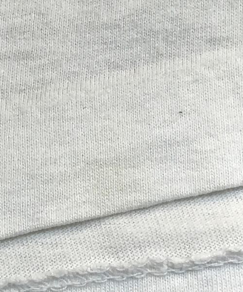 giant（ジャイアント）giant (ジャイアント) AEROSMITH tee ホワイト サイズ:Lの古着・服飾アイテム