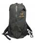 ARC'TERYX（アークテリクス）の古着「Arro 22 Backpack/アロ22バックパック」｜ブラック