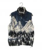 BLACK MOUNTAINブラックマウンテン）の古着「ボアベスト」｜グレー