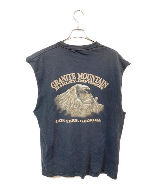 HARLEY-DAVIDSON（ハーレーダビッドソン）HARLEY-DAVIDSON (ハーレーダビッドソン) Hanes (ヘインズ) 両面プリントノースリーブTシャツ ブラック サイズ:-の古着・服飾アイテム