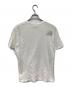 THE NORTH FACE (ザ ノース フェイス) Supreme (シュプリーム) Metallic Logo Tee/メタリック ロゴ ティー ホワイト サイズ:SIZE S：5000円