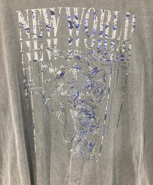 DANKE SCHON（ダンケ シェーン）DANKE SCHON (ダンケ シェーン) プリントTシャツ グレー サイズ:SIZE Mの古着・服飾アイテム