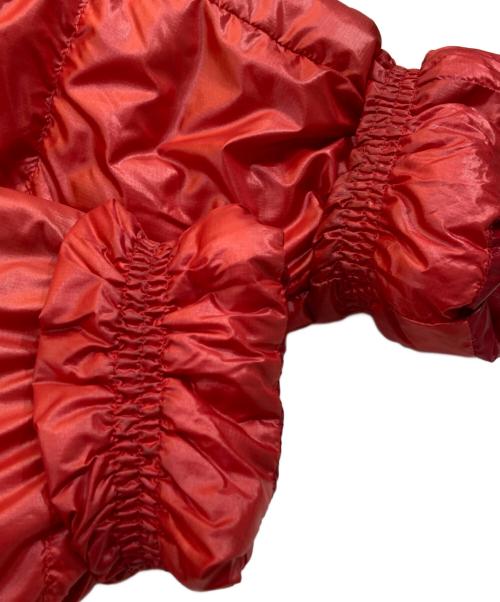 Patagonia（パタゴニア）Patagonia (パタゴニア) フィッツロイダウンパーカー レッド サイズ:SIZE Lの古着・服飾アイテム