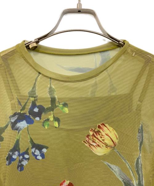 Ameri（アメリ）Ameri (アメリ) SOFIA SHEER CUT TOP/ソフィア シアー カット トップ 黄緑 サイズ:SIZE Freeの古着・服飾アイテム