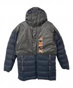 adidasアディダス）の古着「GORE TEX INFINIUM Terrex MYSHELTER Down Parka」｜ブラック