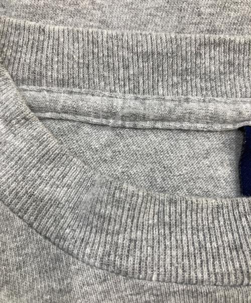 stussy（ステューシー）stussy (ステューシー) プリントTシャツ グレー サイズ:SIZE Mの古着・服飾アイテム