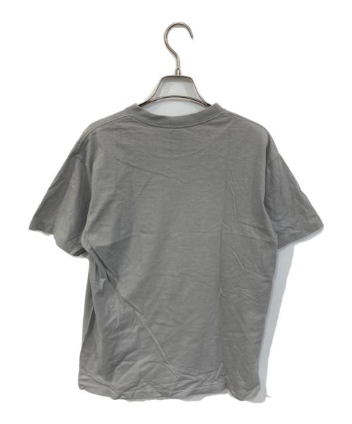 stussy（ステューシー）stussy (ステューシー) Tシャツ グレー サイズ:SIZE Mの古着・服飾アイテム