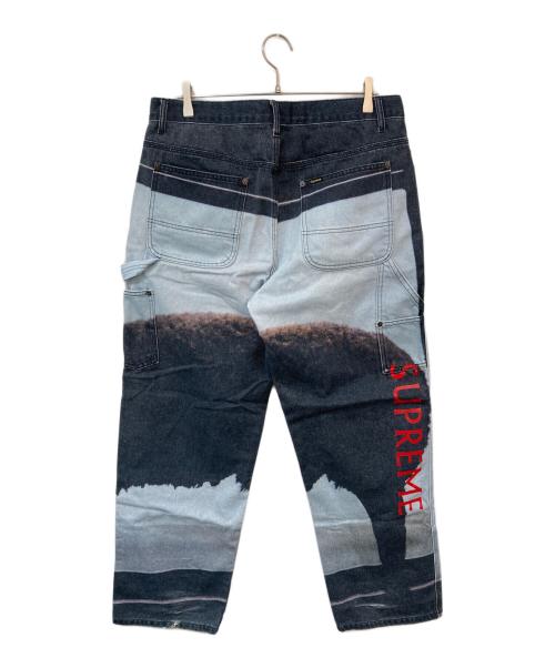 SUPREME（シュプリーム）SUPREME (シュプリーム) Damien Hirst Painter Jean/ダミアン ハースト ペインター ジーン スカイブルー×グレー サイズ:SIZE 34の古着・服飾アイテム