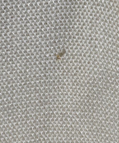 CHEMISE LACOSTE（シュミーズ ラコステ）CHEMISE LACOSTE (シュミーズ ラコステ) Vネックニット アイボリー サイズ:不明の古着・服飾アイテム