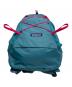 中古・古着 Patagonia (パタゴニア) テラヴィア パック ブルー：10000円