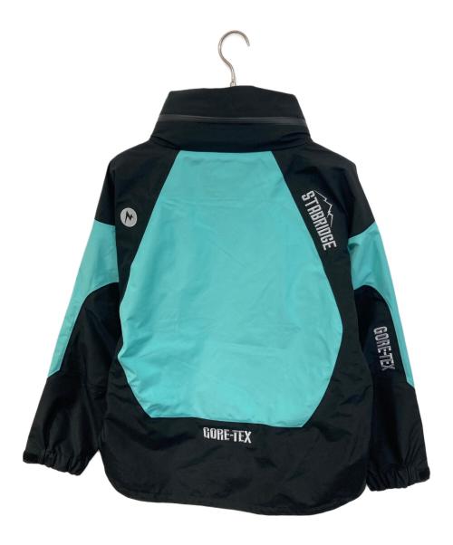 MARMOT（マーモット）MARMOT (マーモット) ALPINIST JACKET GEN2 スカイブルー サイズ:SIZE M 未使用品の古着・服飾アイテム