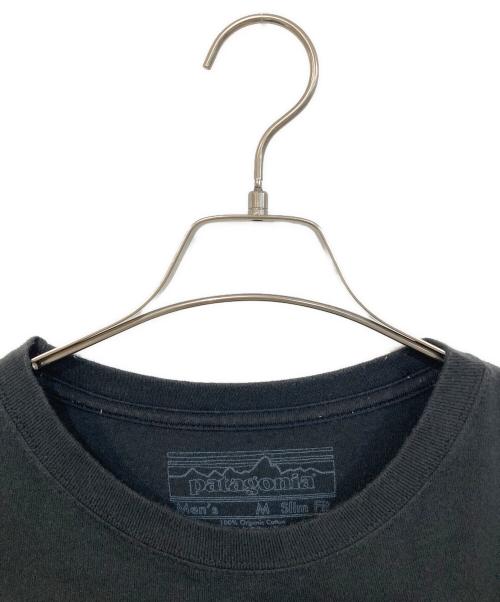 Patagonia（パタゴニア）Patagonia (パタゴニア) プリントTシャツ ブラック サイズ:SIZE Mの古着・服飾アイテム