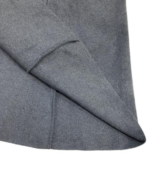 MUSE（ミューズ）MUSE (ミューズ) smooth top/スムーストップ ロングスカート グレー サイズ:SIZE Freeの古着・服飾アイテム