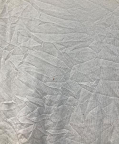 DRIES VAN NOTEN（ドリスヴァンノッテン）DRIES VAN NOTEN (ドリスヴァンノッテン) プリントTシャツ ホワイト サイズ:Sの古着・服飾アイテム