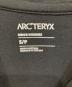 ARC'TERYXの古着・服飾アイテム：10000円