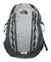 THE NORTH FACE（ザ ノース フェイス）の古着「ビッグショット クラシック」｜グレー