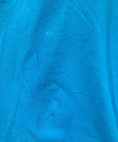 Hanes（ヘインズ）Hanes (ヘインズ) 90's oprah winfrey TEE/90’ｓオプラ・ウィンフリーＴシャツ ブルー サイズ:SIZE XLの古着・服飾アイテム