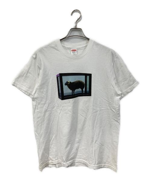 SUPREME（シュプリーム）SUPREME (シュプリーム) Damien Hirst Tee/ダミアン・ハースト・ティー ホワイト サイズ:SIZE Mの古着・服飾アイテム