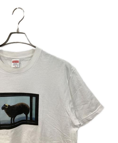 SUPREME（シュプリーム）SUPREME (シュプリーム) Damien Hirst Tee/ダミアン・ハースト・ティー ホワイト サイズ:SIZE Mの古着・服飾アイテム