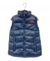 THE NORTH FACE（ザ ノース フェイス）の古着「アコンカグアベスト」｜ネイビー