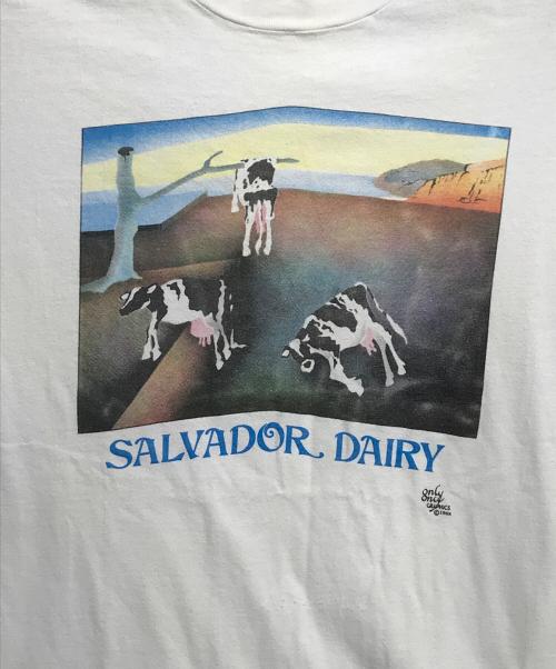 Hanes（ヘインズ）Hanes (ヘインズ) ヴィンテージオマージュアートTシャツ ホワイト サイズ:LARGEの古着・服飾アイテム