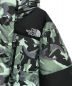 THE NORTH FACEの古着・服飾アイテム：30000円