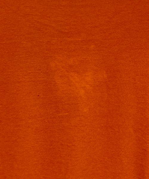 stussy（ステューシー）stussy (ステューシー) ロゴＴシャツ オレンジ サイズ:Ｓの古着・服飾アイテム