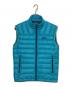 Patagonia（パタゴニア）の古着「ダウンセーターベスト」｜ブルー