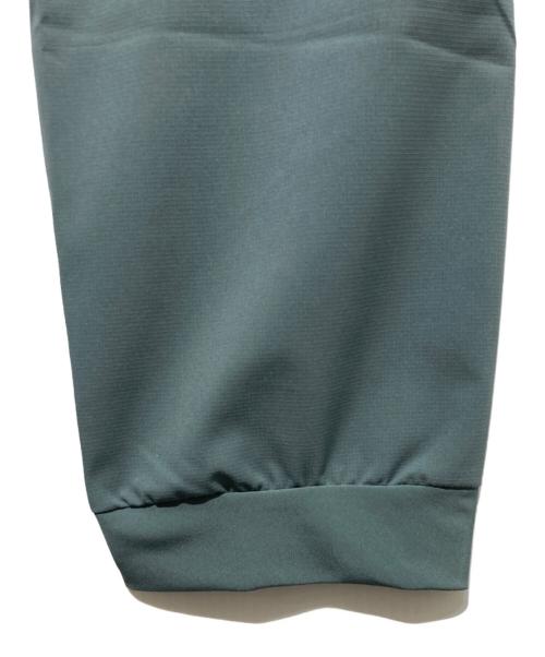 Patagonia（パタゴニア）Patagonia (パタゴニア) テルボンヌジョガーズ グリーン サイズ:L 未使用品の古着・服飾アイテム