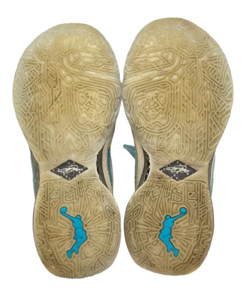 NIKE（ナイキ）NIKE (ナイキ) UNKNWN LeBron 20 ベージュ×ブルー サイズ:28cmの古着・服飾アイテム