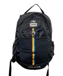 CHUMS（チャムス）の古着「SPRING DALE 20デイパック」｜ブラック