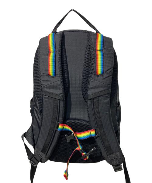 CHUMS（チャムス）CHUMS (チャムス) SPRING DALE 20デイパック ブラックの古着・服飾アイテム