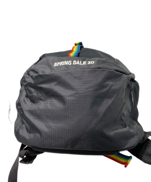 CHUMS（チャムス）CHUMS (チャムス) SPRING DALE 20デイパック ブラックの古着・服飾アイテム