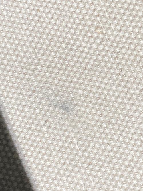 BALENCIAGA（バレンシアガ）BALENCIAGA (バレンシアガ) カバス キャンバストート ホワイトの古着・服飾アイテム